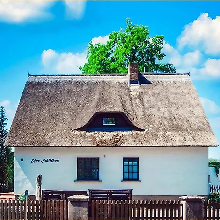 Strandgut * هيرينجسدورف