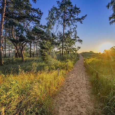 Strandgut Heringsdorf (Usedom)