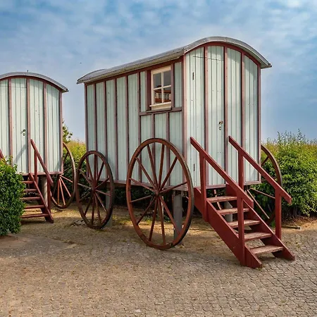 Strandgut Heringsdorf (Usedom)